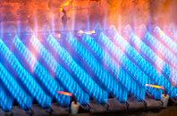 Crumpsbrook gas fired boilers